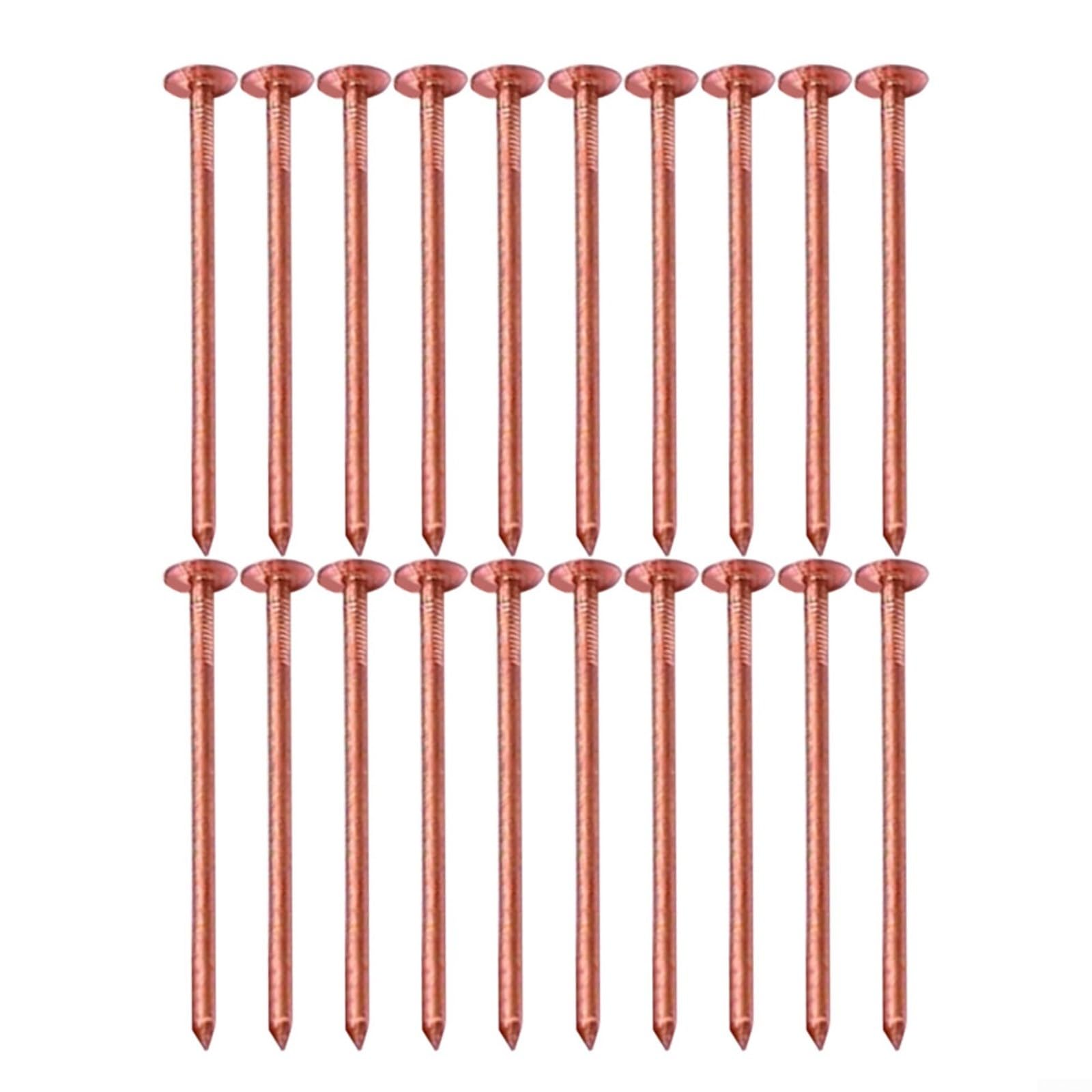 MeevrgR Lot De 40 Clous Tueurs De Souches En Cuivre, Contrôle