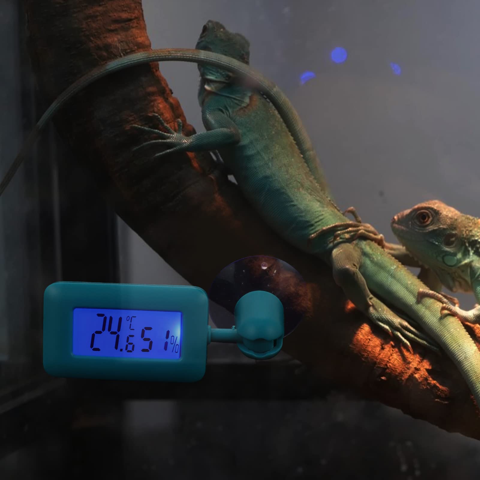 COSMEVIVI Aquarium Thermostat Mini Thermometer Suction ° Rotatable for Gecko Tank Accurate Temperature Measuring Device