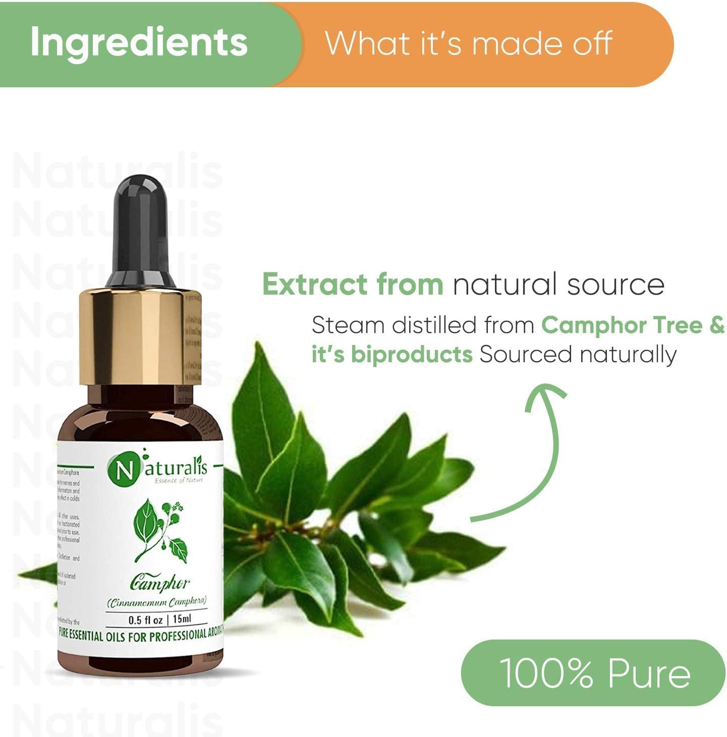 Naturalis Essence of Nature Camphor Essential Oil for Skin & Hair Care 15ml