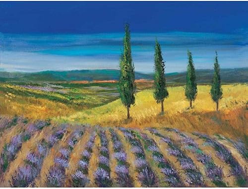 ArtDirect Field of lavender 14x11 UnFramed Art Print Poster Ready for Framing by Paleta, Anna