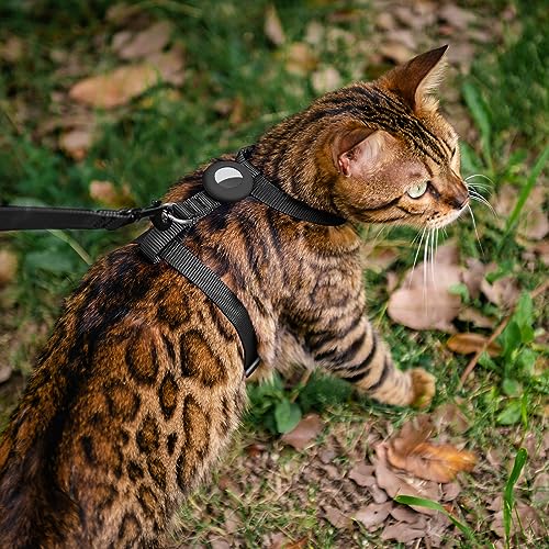 Cat-Harness-and-Leash-Set-Escape-Proof-for-Walking-Adjustable-Cute-Kitten-Harness-Leash-with-Airtag-Holder-for-Small-Large-Cats-Lightweight-Soft-Walking-Travel-Harness-Black