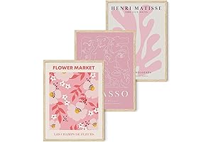 Djmwtb Matisse Picasso Abstract Poster: A Trio of Aesthetic Wall Art