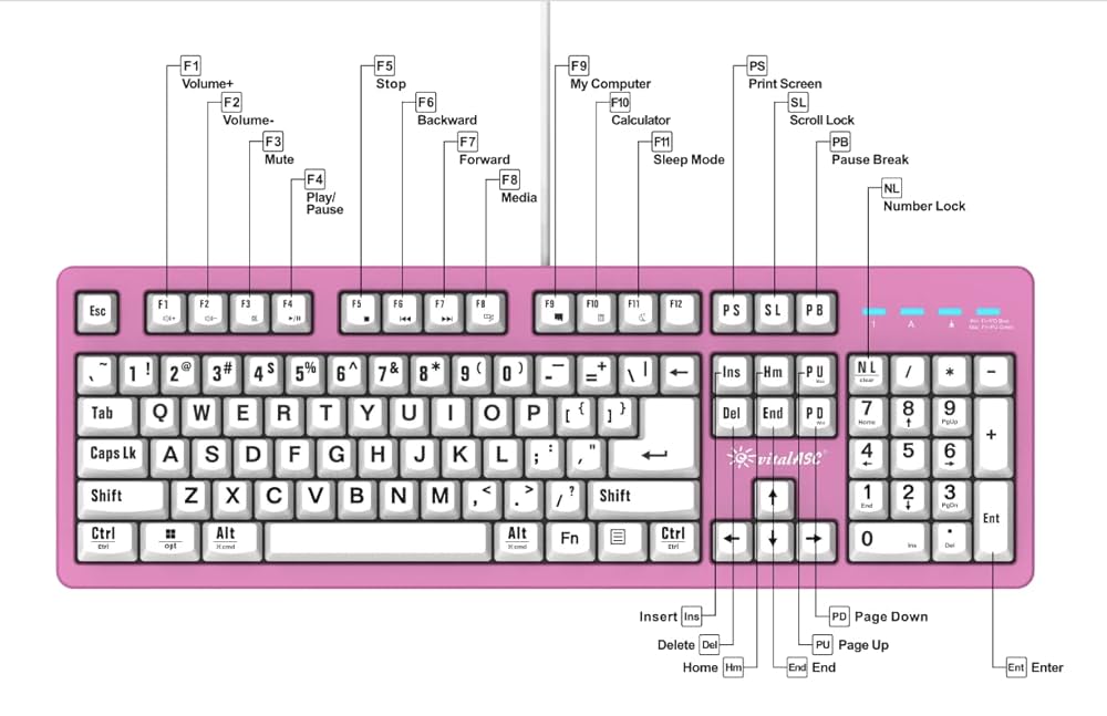 (未使用･未開封品)Keyboard for the Absolute Beginner [DVD] 61BIE5P59rL._UF1000,1000_QL80_.jpg