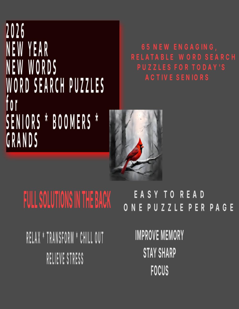 2026 NEW YEAR NEW WORDS WORD SEARCH PUZZLES SENIORS * BOOMERS * GRANDS