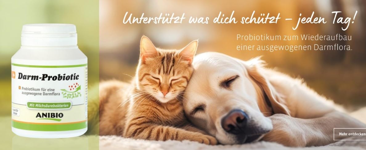 Anibio Darm-Probiotic 120 Kapseln | Probiotikum für Hunde & Katzen – Darmflora Unterstützung mit Milchsäurebakterien – Ergänzungsfuttermittel für eine gesunde Verdauung & Starke Darmgesundheit