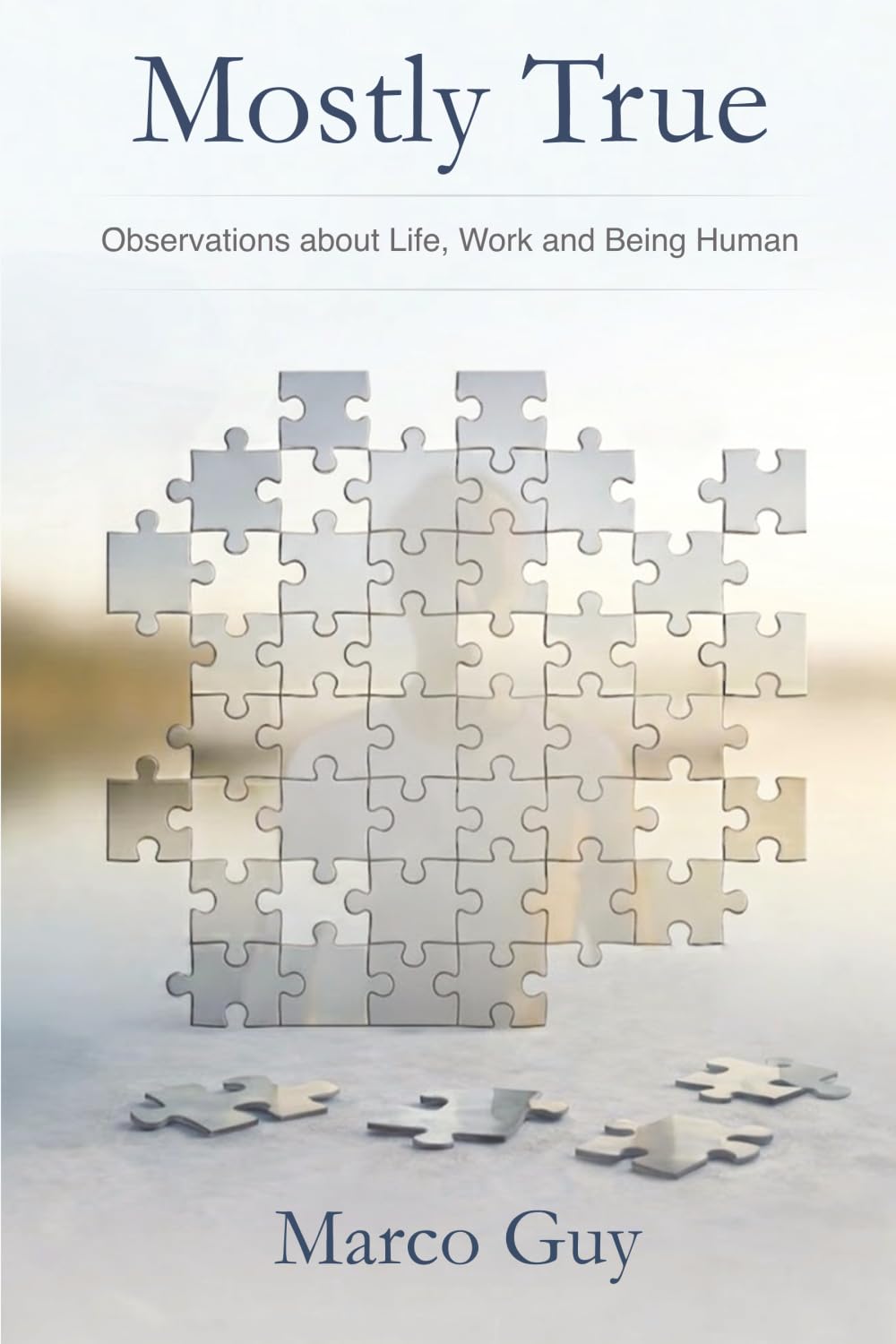 Mostly True: Observations about Life, Work and Being Human