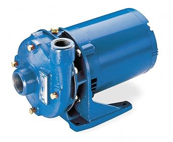 GOULDS PUMPS 1BF11012 Centrifugal Pump, 1 Ph, 115V/230V, 1 hp