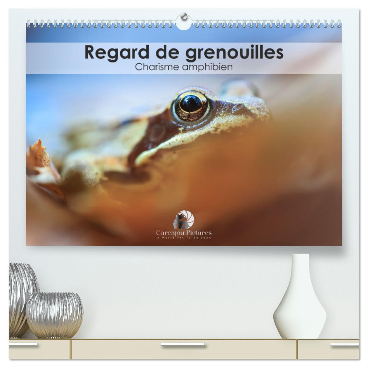Calendrier mural 2025 DIN A2 Regard de Grenouilles, cadeau idéal pour passionnés de nature