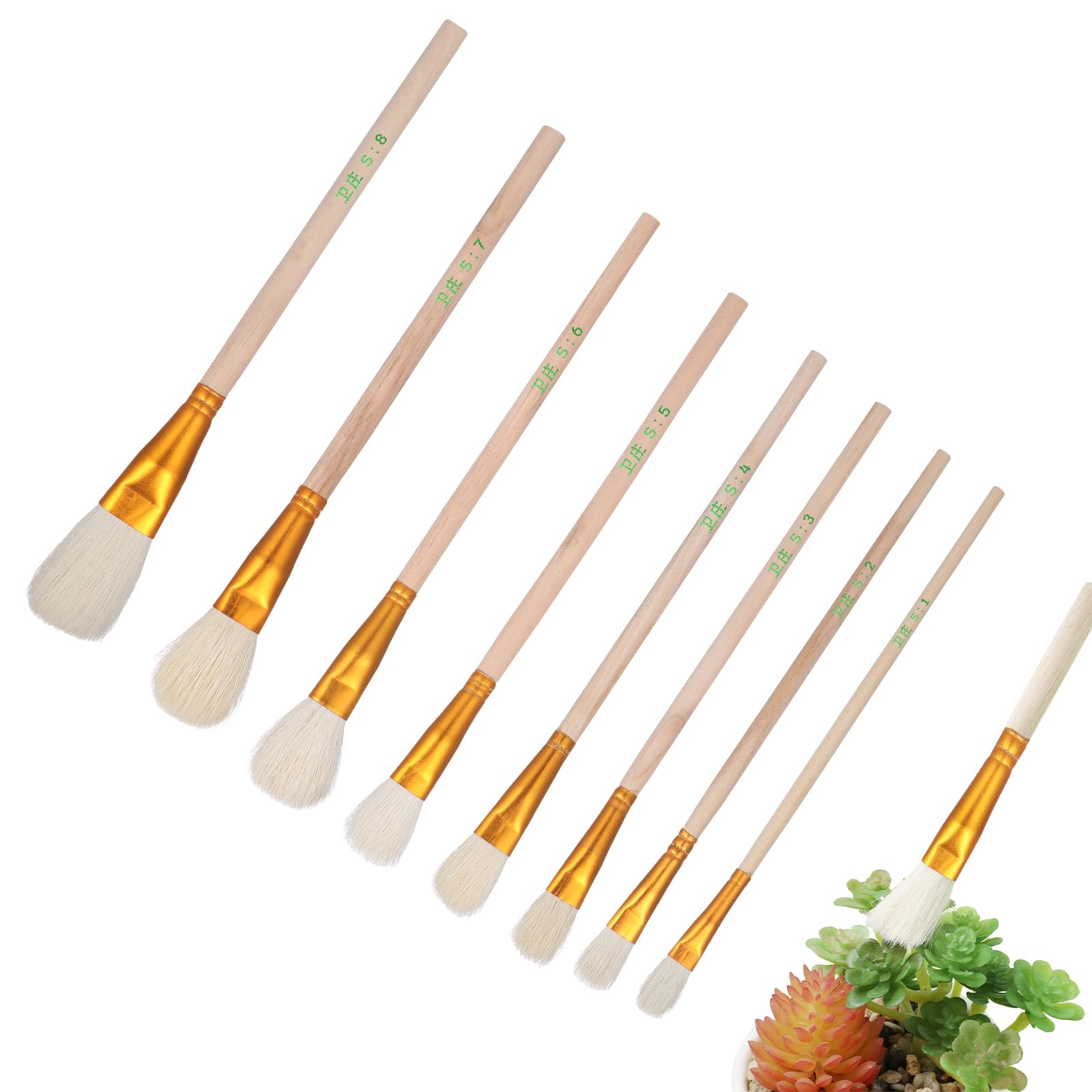 BESTonZON 8 PCS Pollinator Brushes, Wooden Succulent Plants Vegetable Pollination, Vegetable Pollinator Brushes, Fruits Pollinator Brush Outdoor Garden Fruit Pollinator Tools Pollination Brush
