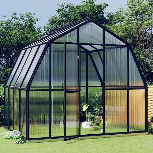 Invernadero con marco de base antracita, 6,43 m, aluminio