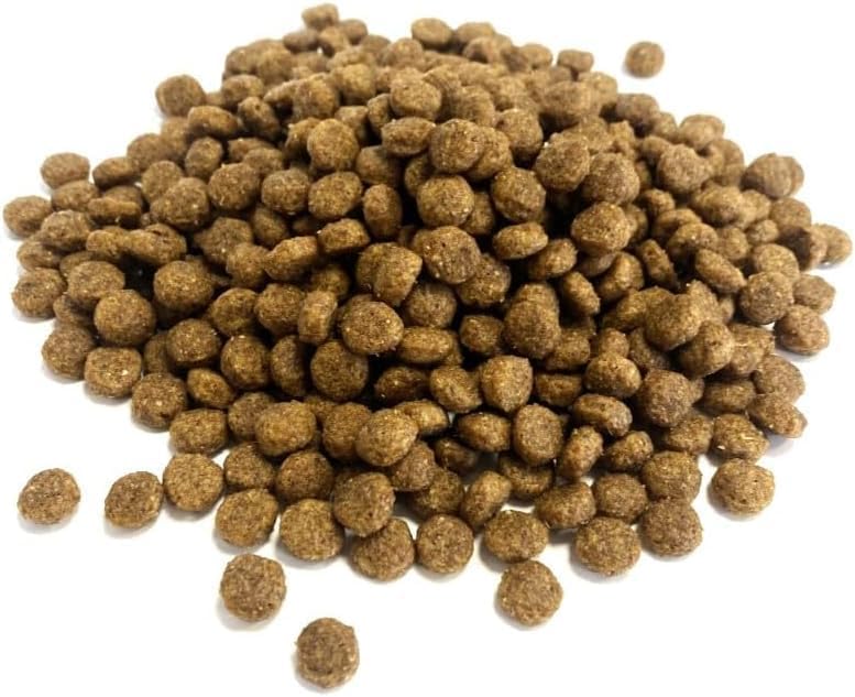 Premium Complete Hedgehog Food 500g Complete Food SMW