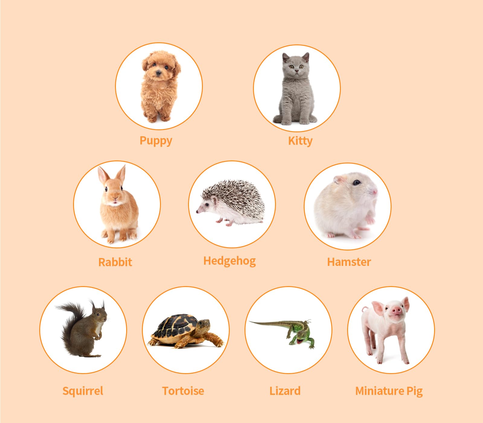 Homegroove Recinzioni per gatti da esterno, recinto per gatti da interno, box pieghevole portatile per gatti (tenda per gatti e tunnel per gatti) per più gatti e piccoli animali, tenda con borsa per