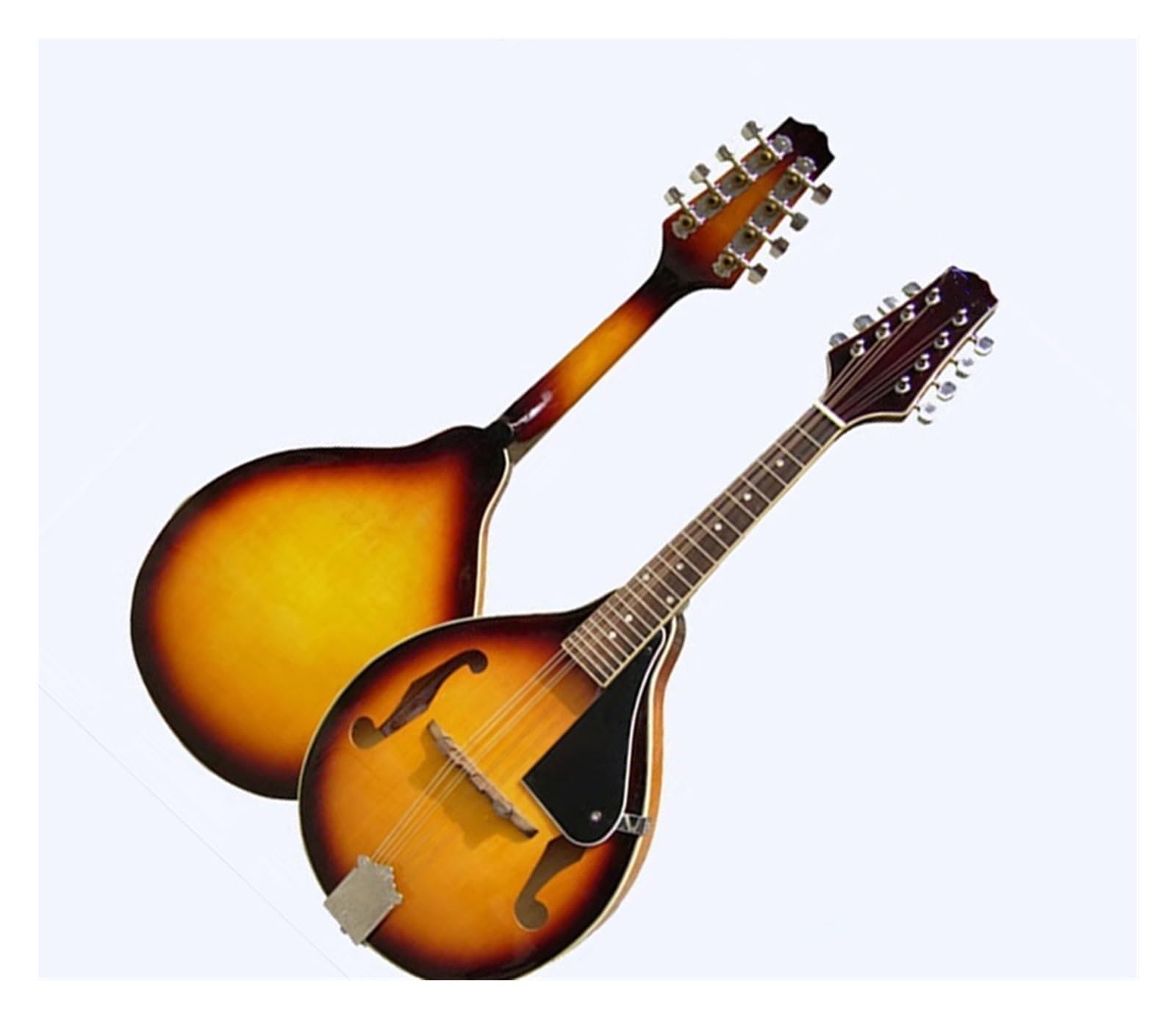 Amazon | マンドリン 音楽愛好者 トレブル 8 弦マンドリン 楽器