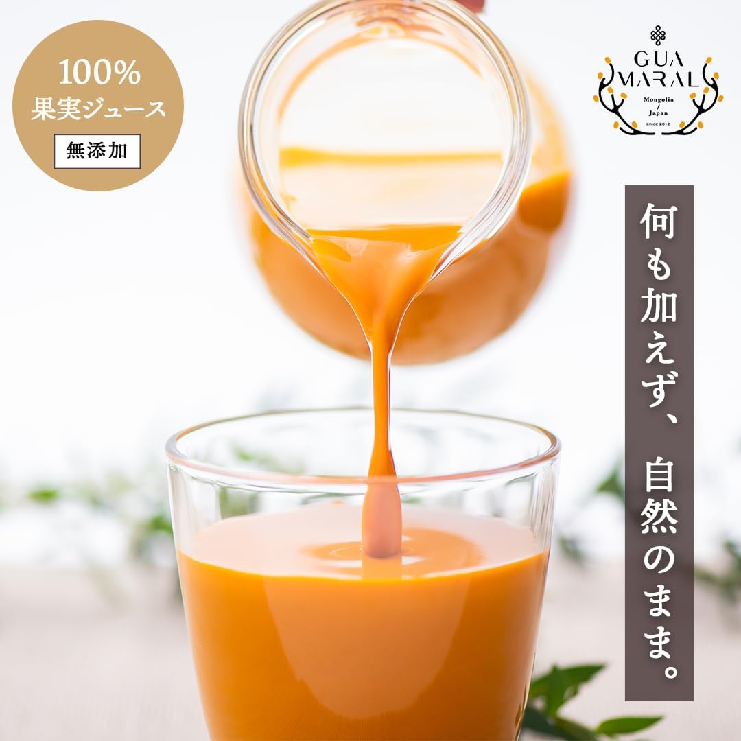 奇跡の果実サジー(シーベリー)ジュース【グアマラル】