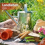 Landleben 2024, Wandkalender / Broschürenkalender im Hochformat (aufgeklappt 30x60 cm) - Geschenk-Kalender mit Monatskalendarium zum Eintragen - Ackermann Kunstverlag 