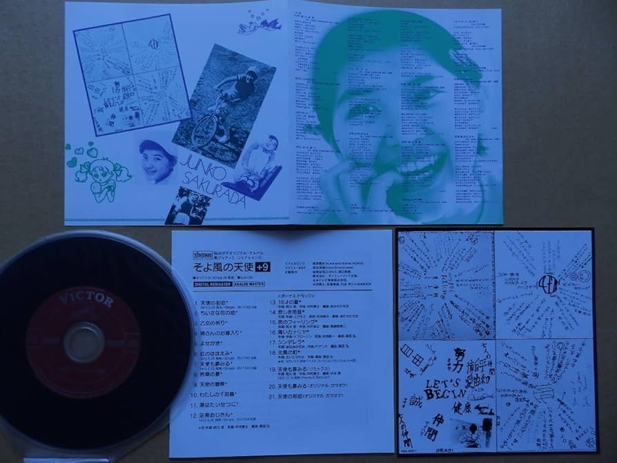 ザ・ラフ・ガイド・トゥ・ケルトの子守歌(ボーナスCD付き ) ザ・ラフ・ガイド・トゥ・ケルトの子守歌(ボーナスCD付き )