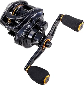 Amazon.co.jp: アブガルシア（Abu Garcia）: ベイトリール