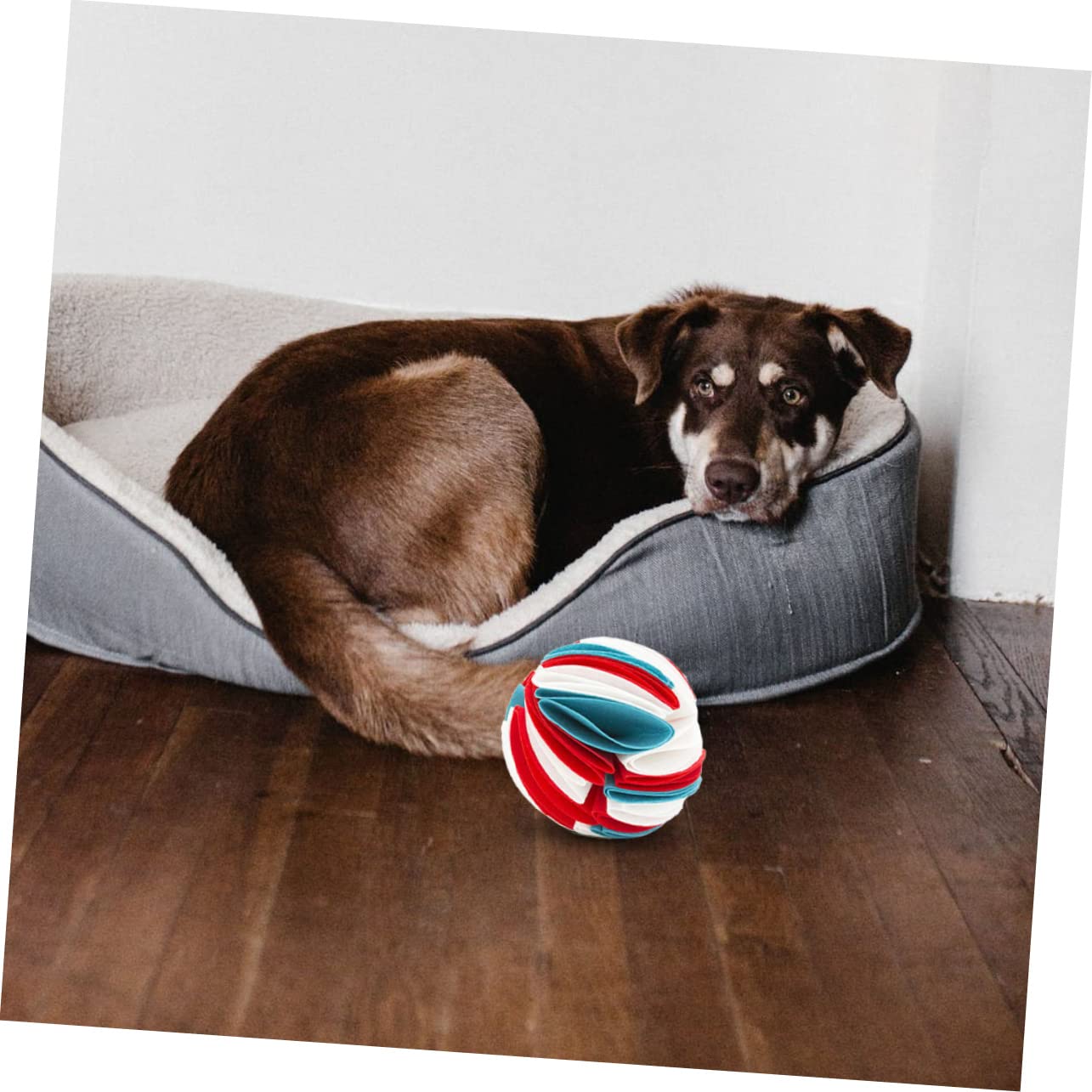 Supvox 3stücke Pet Dog Sniff Toy Interaktives Schnüffelspielzeug Für Welpen Buntes Kauspielzeug Aus Sicherem Material Langsame Futterzufuhr Für Drinnen Und Draußen