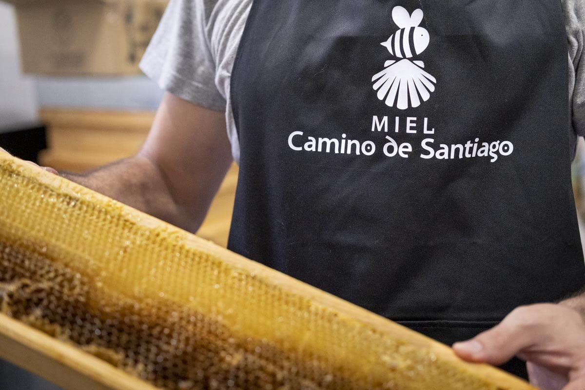 Miel Cruda Pura de Abeja 1 kg - Sin filtrar - Antioxidante - Sales Minerales