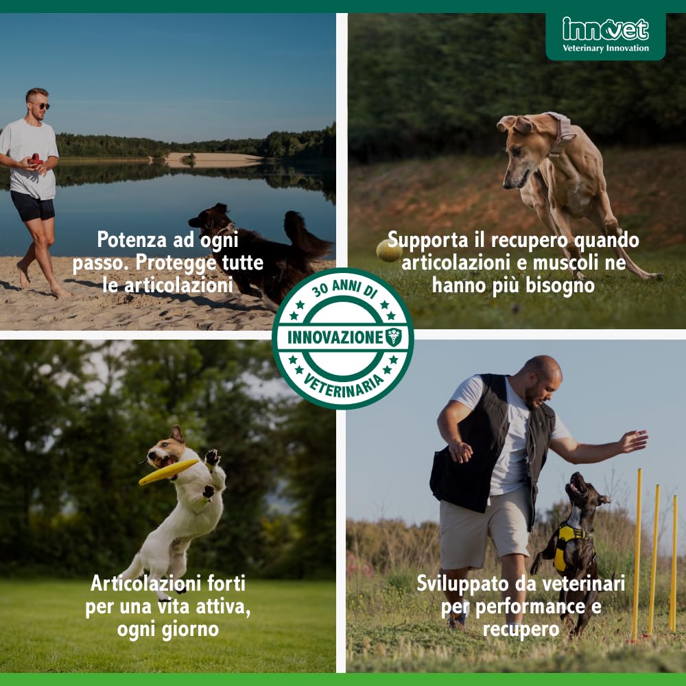Innovet Condrogen Adult & Sport per cani – 60 bustine stick - Supporto articolare avanzato per cani adulti e cani sportivi, aiuta a mantenere mobilità, performance articolare e recupero muscolare