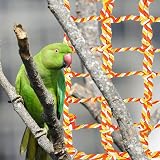 Ver la foto 8
