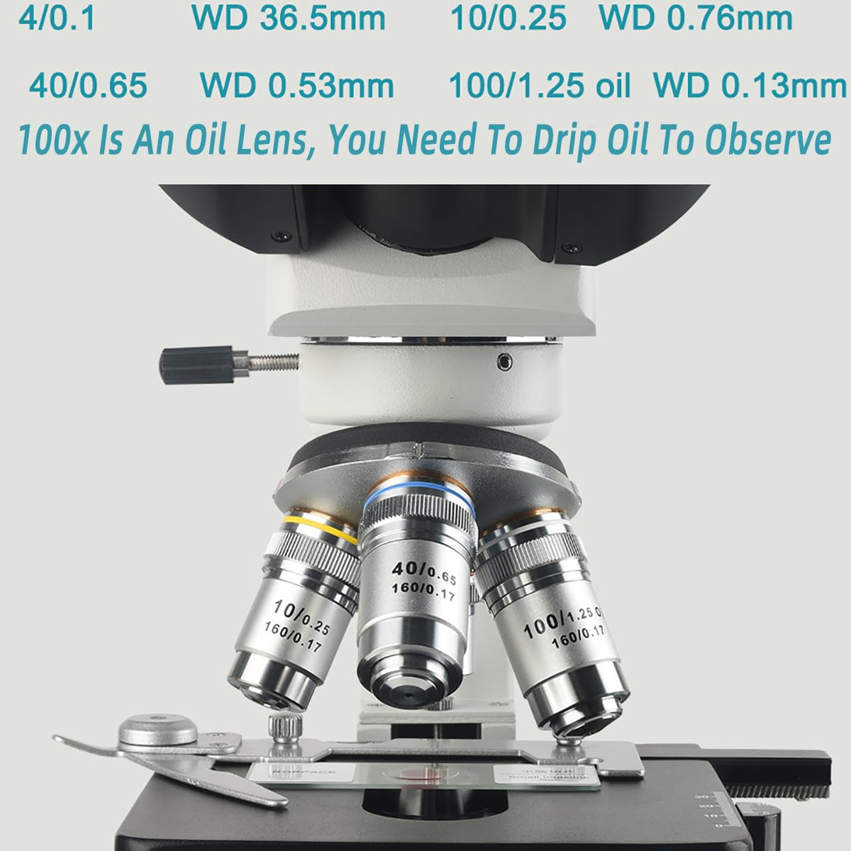 Microscopio biológico Profesional, Equipos y Suministros de Laboratorio, 40X-2500X/4*Objetivo/4*Ocular, con Condensador Abbe, Fuente de luz LED hacia Arriba y hacia Abajo