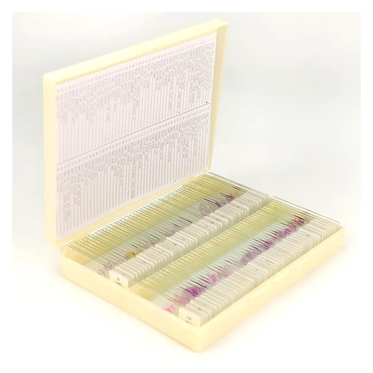 Kit di accessori per microscopio Vetrini for microscopio for campioni istologici con sezioni preparate professionali da 100 pezzi for biologia scientifica Vetrini per microscopio