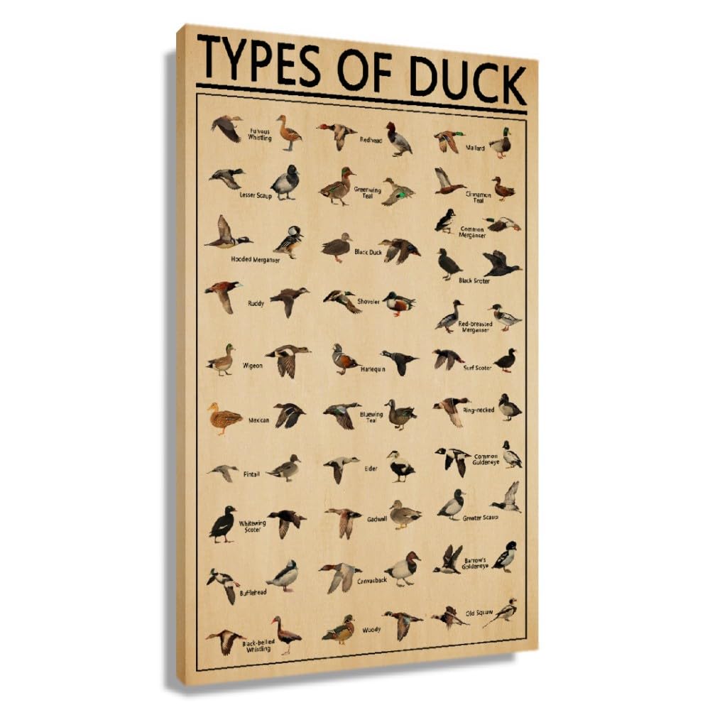 Zhefoart Duck Wall Art Knowledge Poster Retro Canvas Animal Wall Decor Picture Prints, Framed Educational Wall Art Types of Duck Poster for Kitchen
