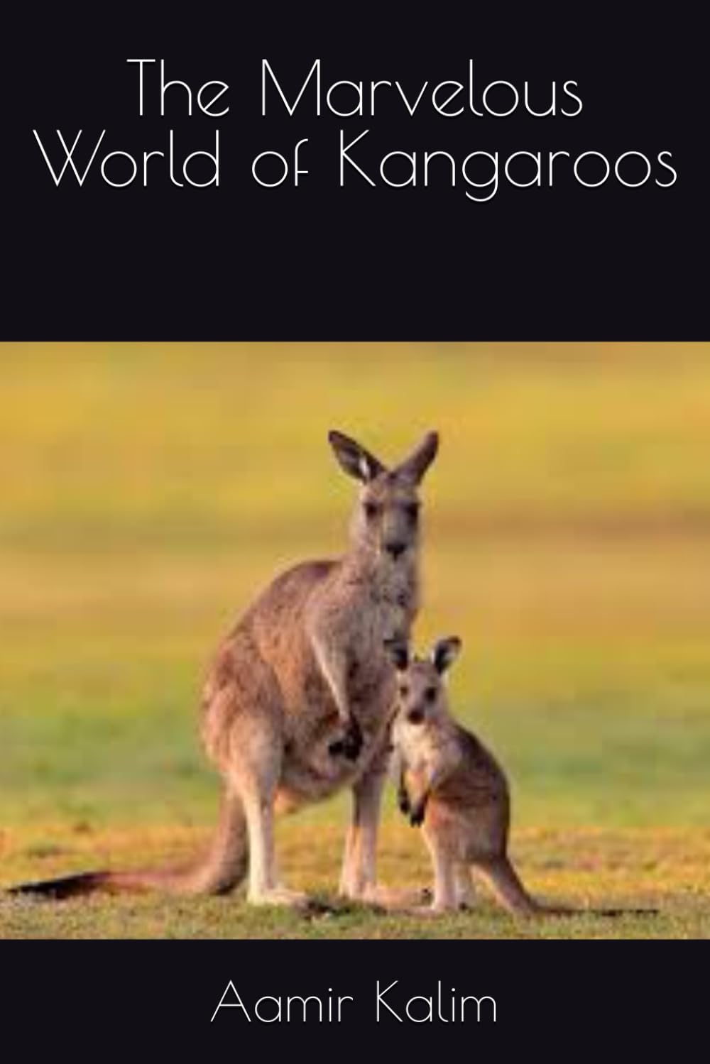 The Marvelous World of Kangaroos