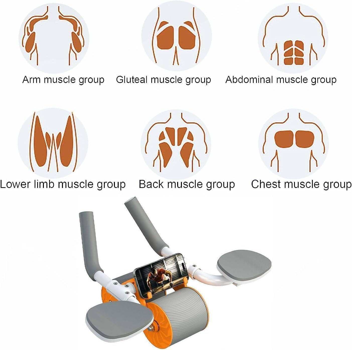 Diagram showing muscle groups targeted by the Ab Roller: Arm, Gluteal, Abdominal, Lower Limb, Back, Chest.