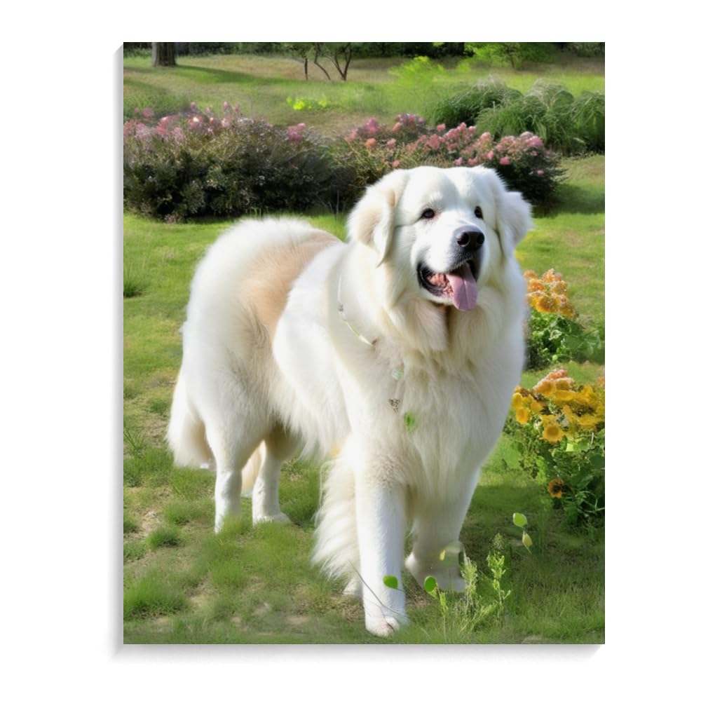 DIY Paint by Numbers Great Pyrenees Dog on Canvas Painting Kits for Adult, Beginner Oil Painting Kits Gift 20x24inch(50x60cm) Frameless