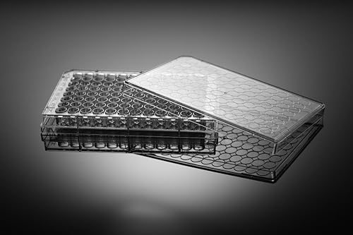 Miniatura 3 de Nest Scientific 701001 - Placa de cultivo celular de poliestireno de 96 pocillos, fondo plano, tratado para cultivo de tejidos, estéril,