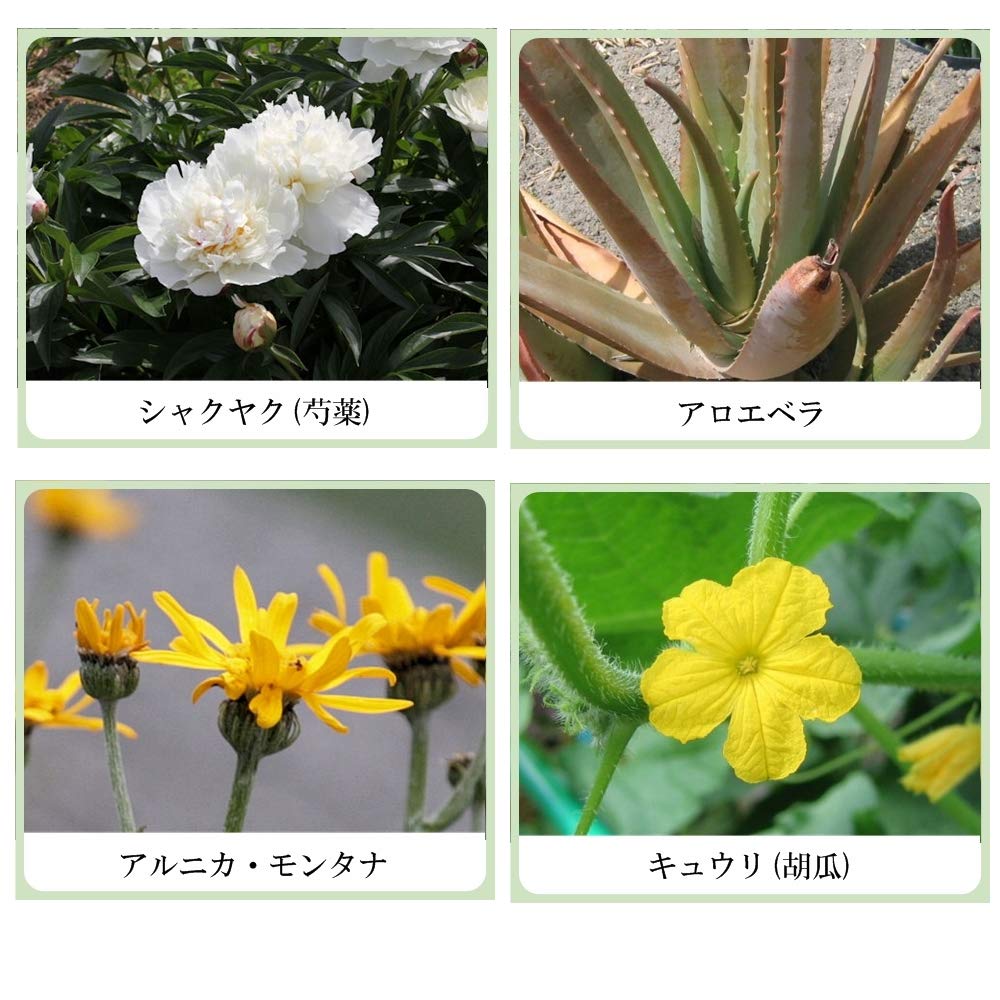 Amazon | 草根木花 ハーブ アストリンゼントローション No.2（紫根化粧