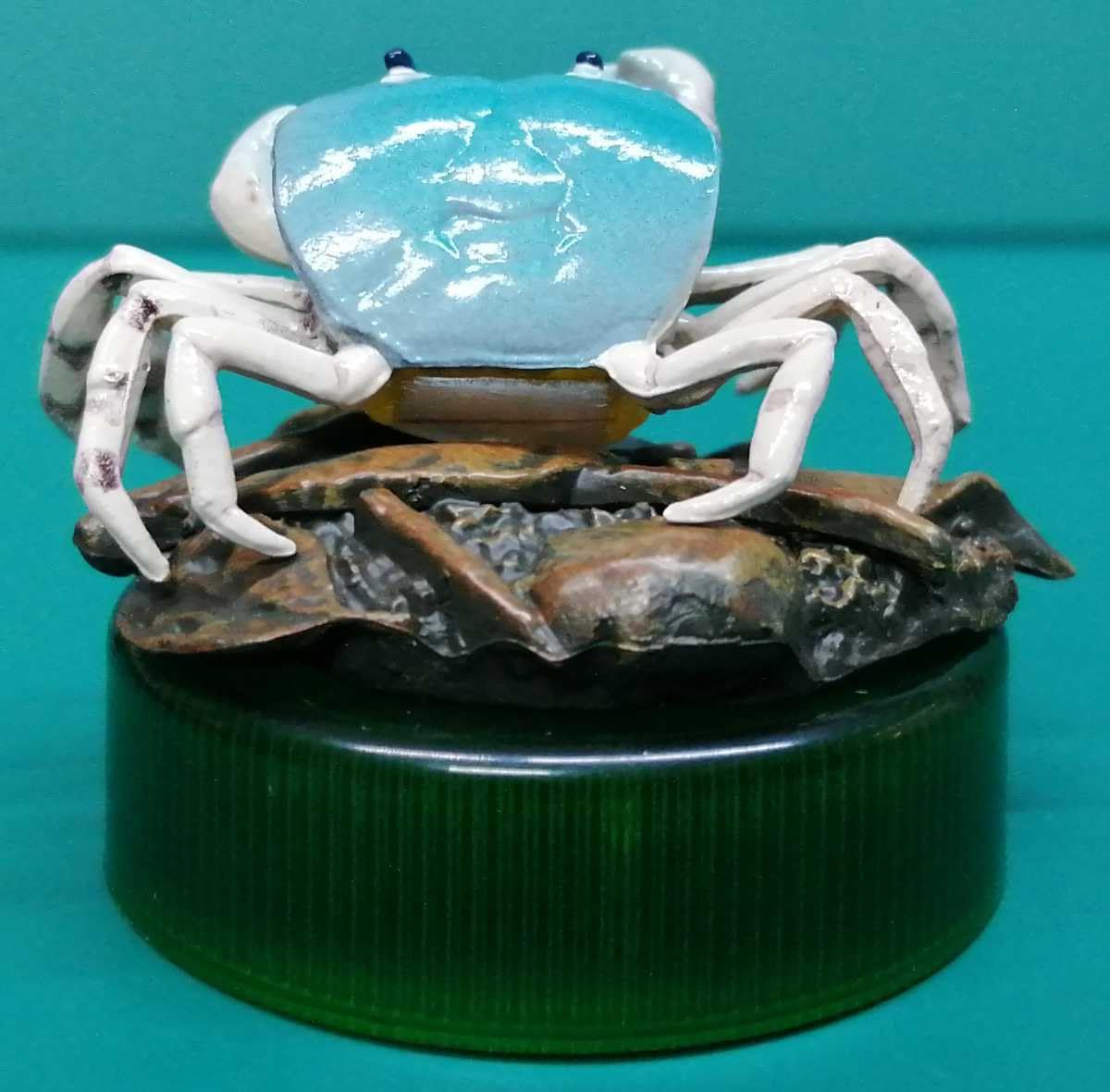 サワガニ様用 61BWE9lLHaL._UF350,350_QL50_.jpg