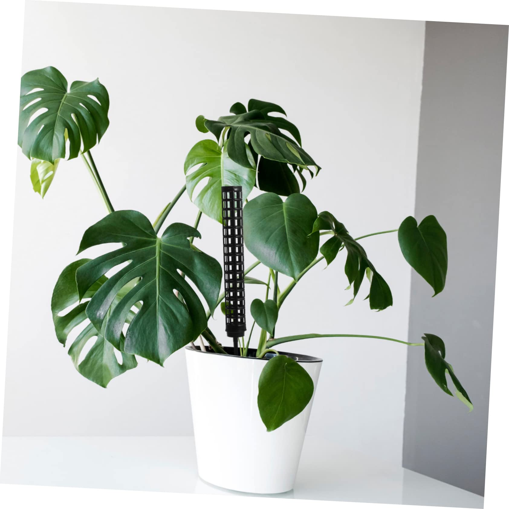 Happyyami 6stücke Moosstäbe Für Pflanzen Hohe Rankhilfe Seil Für Kletterpflanzen Und Zimmerpflanzen Für Monstera Efeutute Und