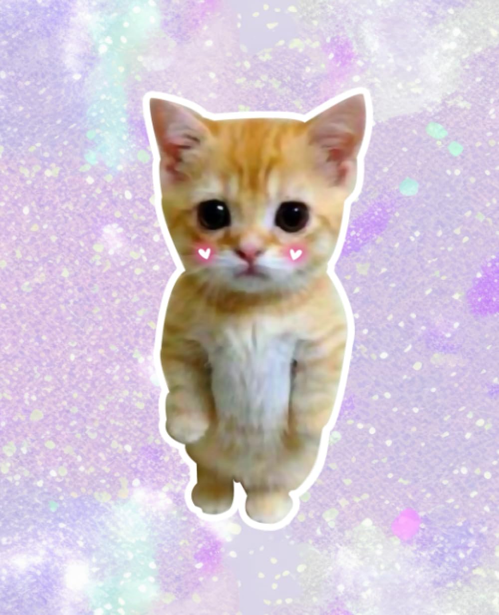 ✧確認用✧blue meme cat✧signature note book✧ ✧確認用✧blue meme cat✧signature note book✧