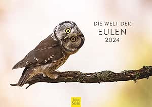 Edition Seidel Premium Kalender Die Welt der Eulen 2024 Format DIN A3 