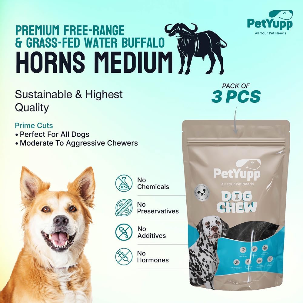 3 Water Buffalo Horns for Dogs Medium - Natural & Long Lasting Dog Chews for Medium Breed Dogs - Durable Buffalo Horn Chews for Aggressive Chewers - Support Dental Health & Chewing Exercise