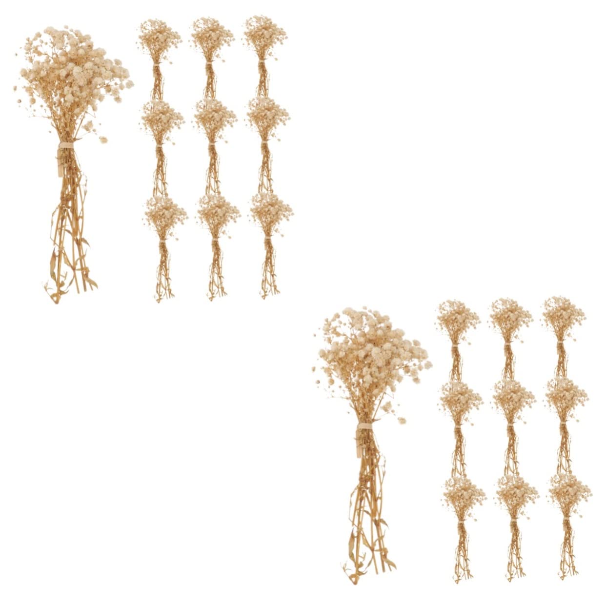 PRETYZOOM 2pièces Bouquets De Fleurs Séchées De Gypsophile De Décorations Naturelles pour Arrangements Floraux pour Décoration De Table Et Intérieur Bouquets De Mariage Et Bricolage