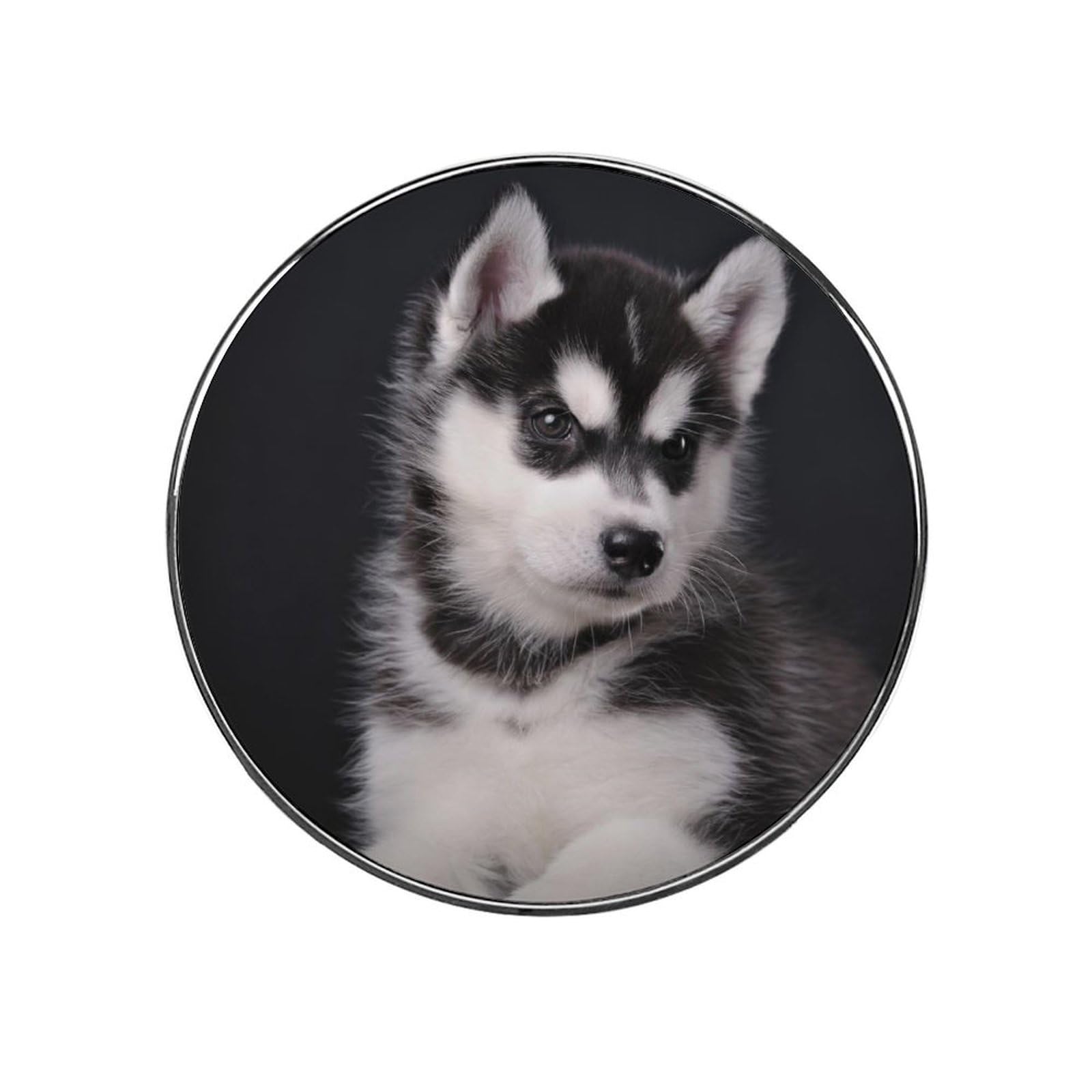 Husky Magnets For Fridge Kitchen Decoration For Refrigerators Whiteboards