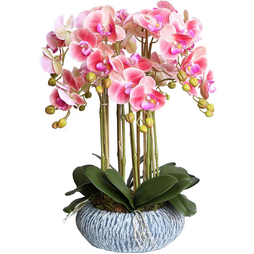Sbziojhdr A Rtificial Flowers, Decor Rtificial Flowers With Vase Furnishing Decoration Potted Plants Butterfly Orchidet For Living Room Ornament Faux(A)