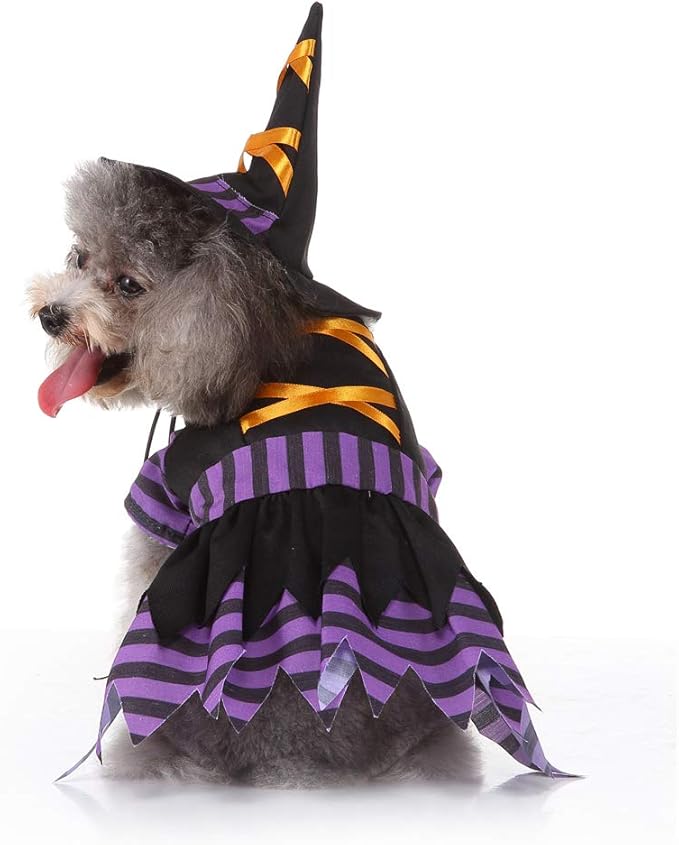 Disfraz de Bruja con Sombrero Mágico para Perro o Gato Yoption miniatura 5