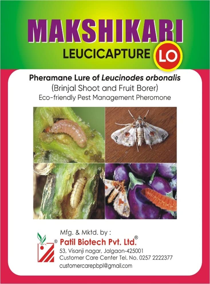 PATIL BIOTECH PRIVATE LIMITED Makshikari Leucicapture + Delta Trap (Set of 10) for Brinjal Fruit & Shoot Borer (Egg Plant Pheromone Lure) (B0C4L5HKWC) Amazon Price History, Amazon Price Tracker
