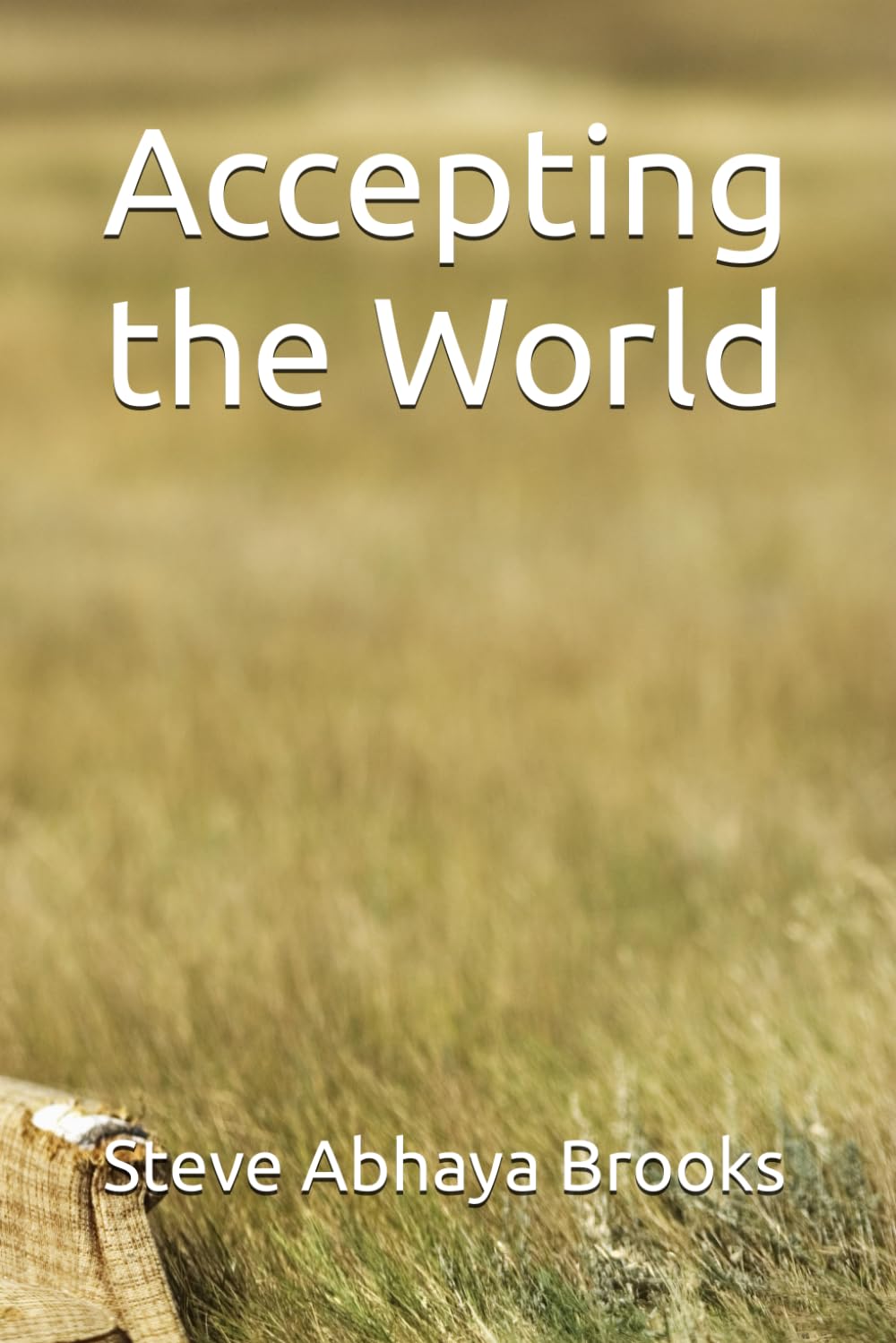 Accepting the World