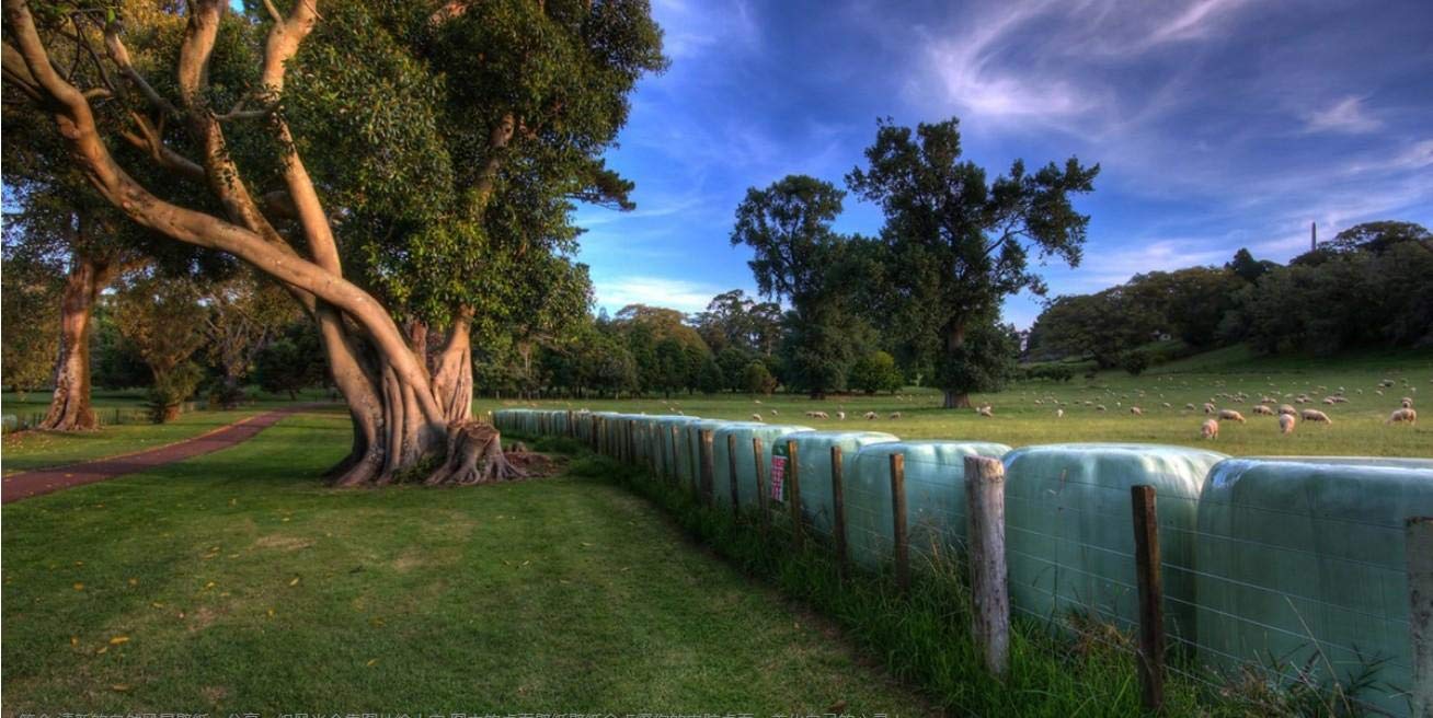 Radiancy Inc Mountain Grassland Pasture Landscape Map Diy Digital Oil Painting -Digital Oil Painting Wall Decoration Coloring Pictures Oil Painting Wallpapers Family Interaction