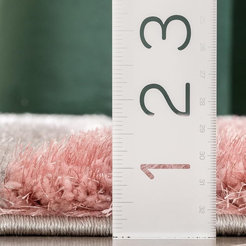 Image of TRANQUIL Polyester Fluffy Fur Rug Shaggy Modern Carpet for Living Room, Bedroom, Guest Room, Kids Room (6x9 Feet, Multi 04)