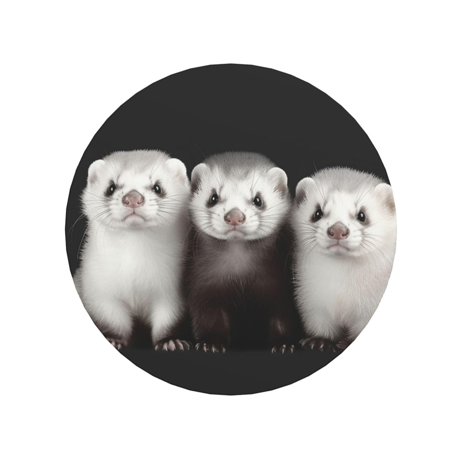 Fodpand Round Shape Ferrets Fridge Magnets, Strong Small Refrigerator Magnets Decorative Magnets For Kitchen Fridge Office Locker - Funny Magnetic Stickers Birthday Gifts