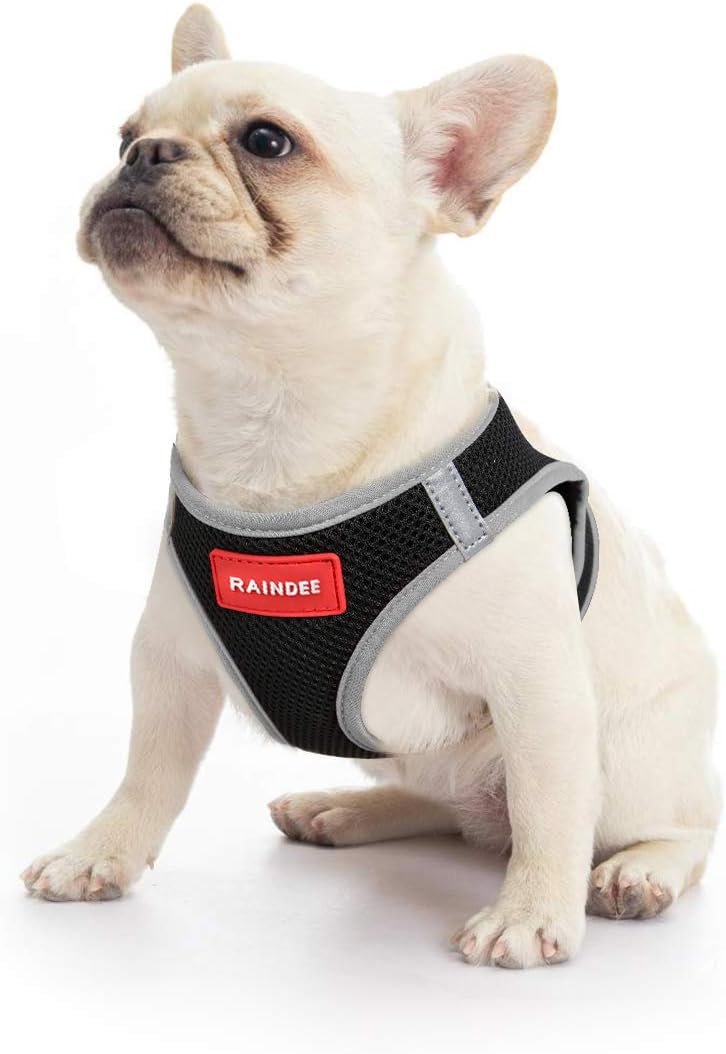 RAINDEE Dog Harness All Weather Soft- Mesh Vest Harness for Small and Medium Dogs 4 Size 7 Colors : Kitchen & Dining