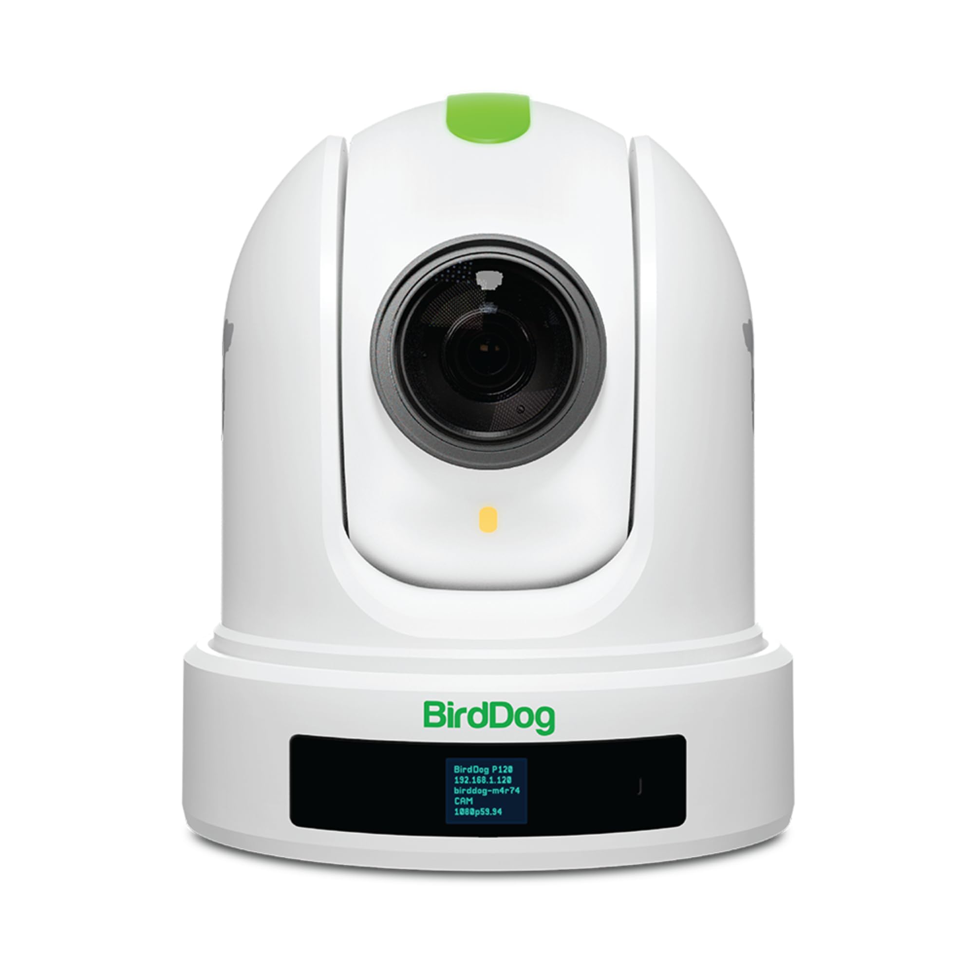 Amazon.com : BirdDog Eyes P110 1080p Full NDI PTZ Camera (White