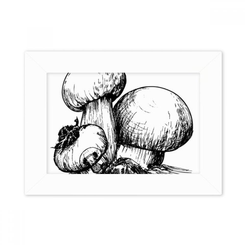 Foto arte cuadro blanco 5X7 con ilustración Swamm de alta definición
